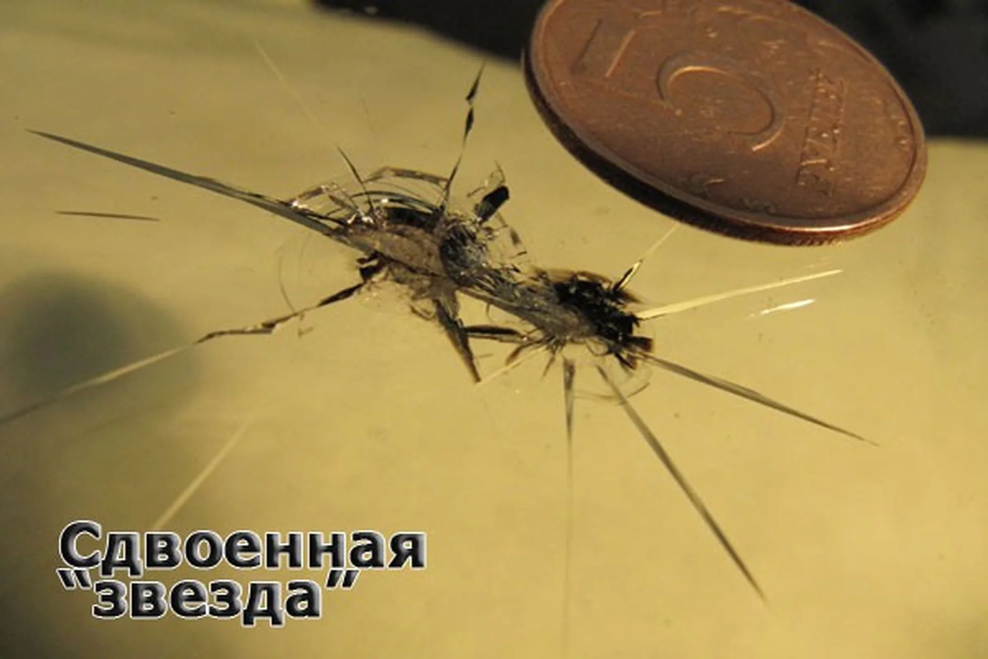 Долой сколы! (Андрей Матусевич), фото 1 из 1.