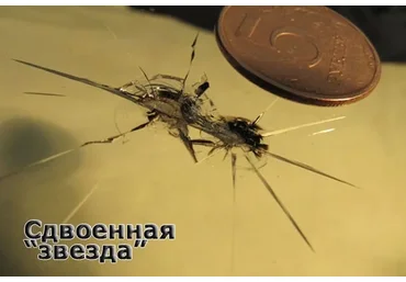 Долой сколы! (Андрей Матусевич)