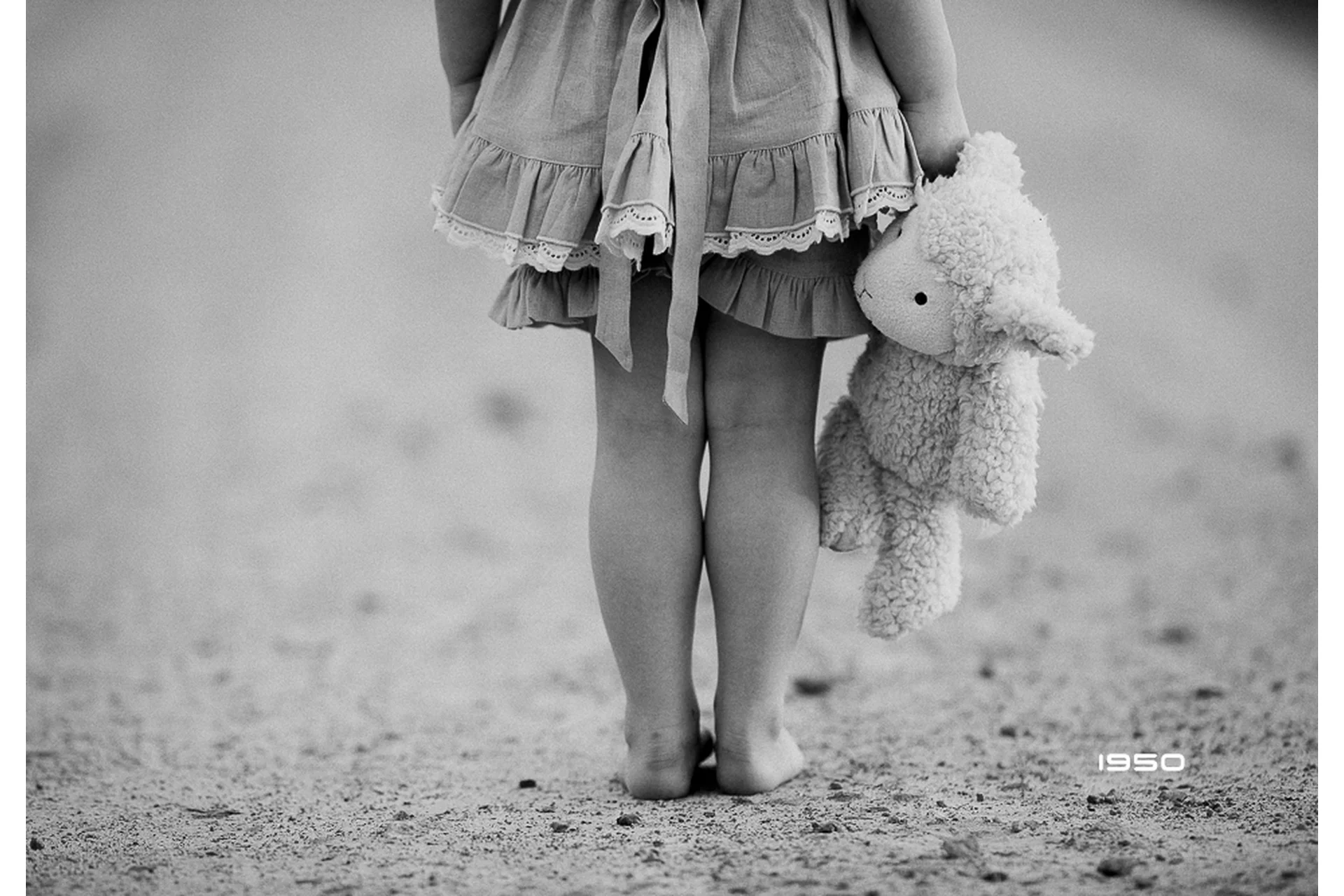 [KCCactions] Коллекция пресетов Tone и Black & White для Lightroom (Kevin Cook), фото 1 из 1.