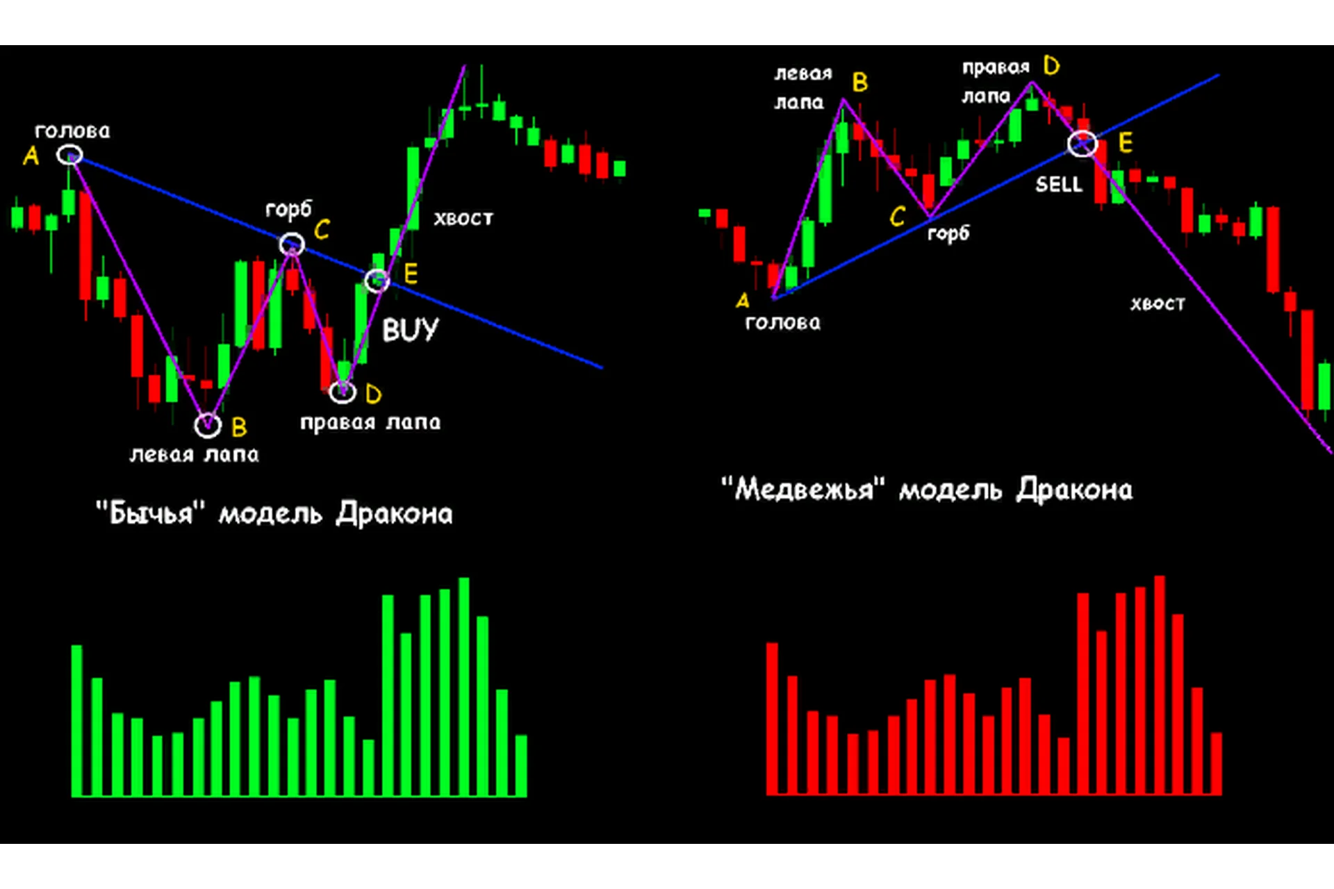 [Pratrader] 4 паттерна + 1 механическая торговая система + Курс по трейдингу, фото 1 из 1.