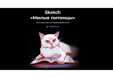 [andrushok.school] Sketch  «Милые питомцы» (Яна Андрушок)