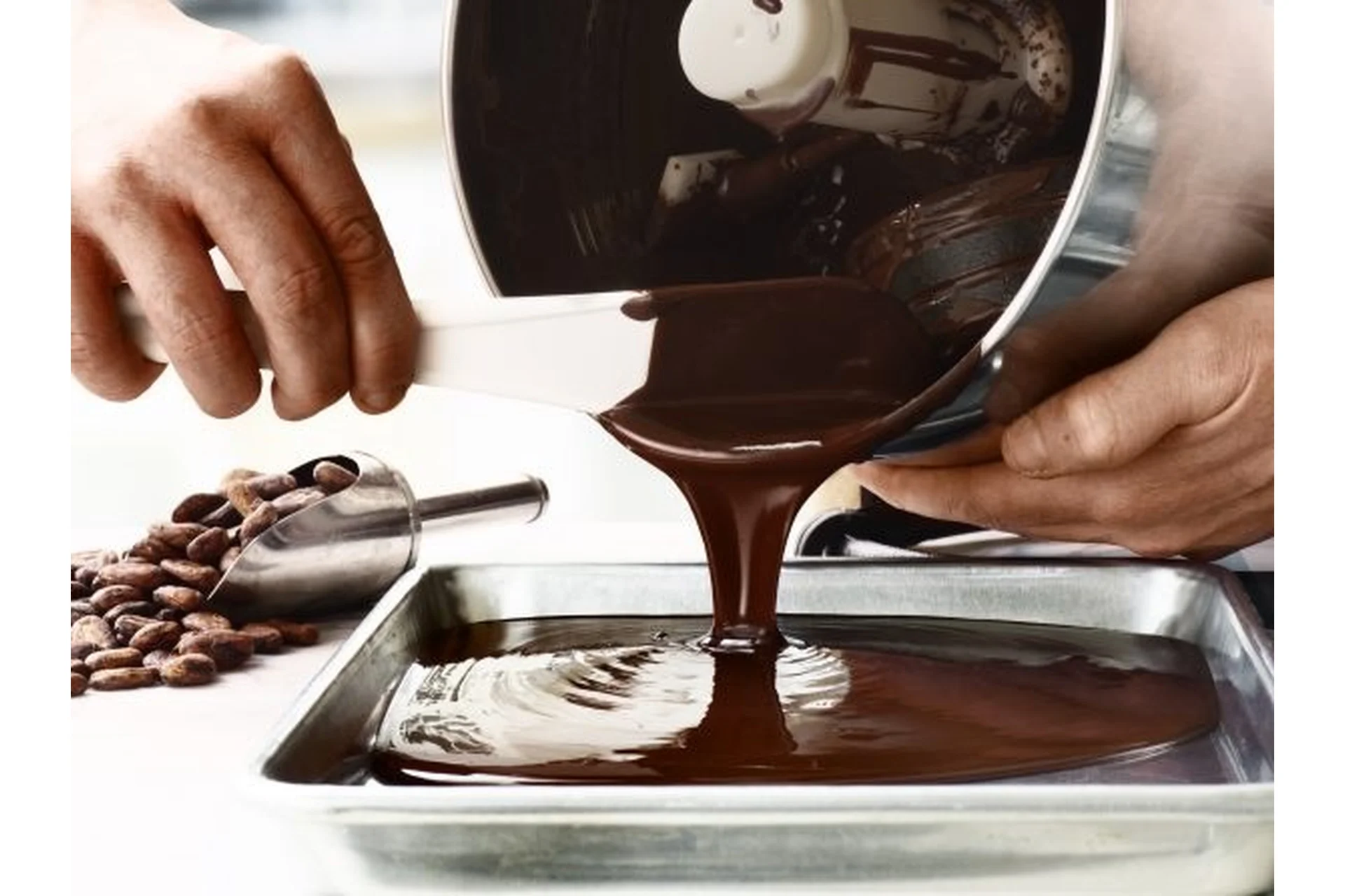 [Bee Chef] Мастер класс по шоколаду. 2 уровень (Ханс Овандо), фото 1 из 1.