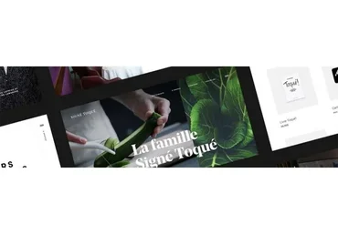 [highlights] Веб-дизайн. Продвинутый уровень (Антон Черный)