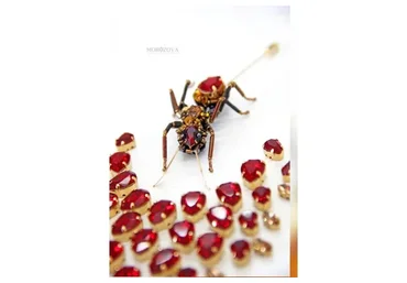 Муравей (Александра Морозова)