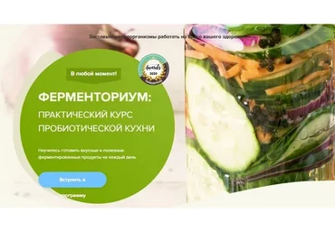 Ферменториум: практический курс пробиотической кухни (Юлия Мальцева)