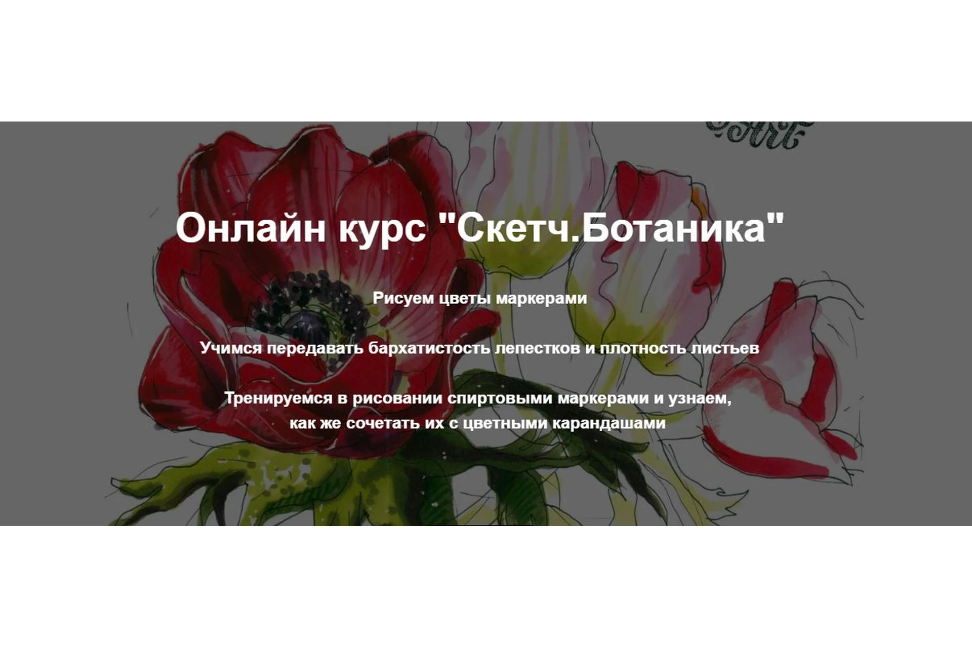 [janelipartschool] Скетч. Ботаника (Евгения Липатова), фото 1 из 1.