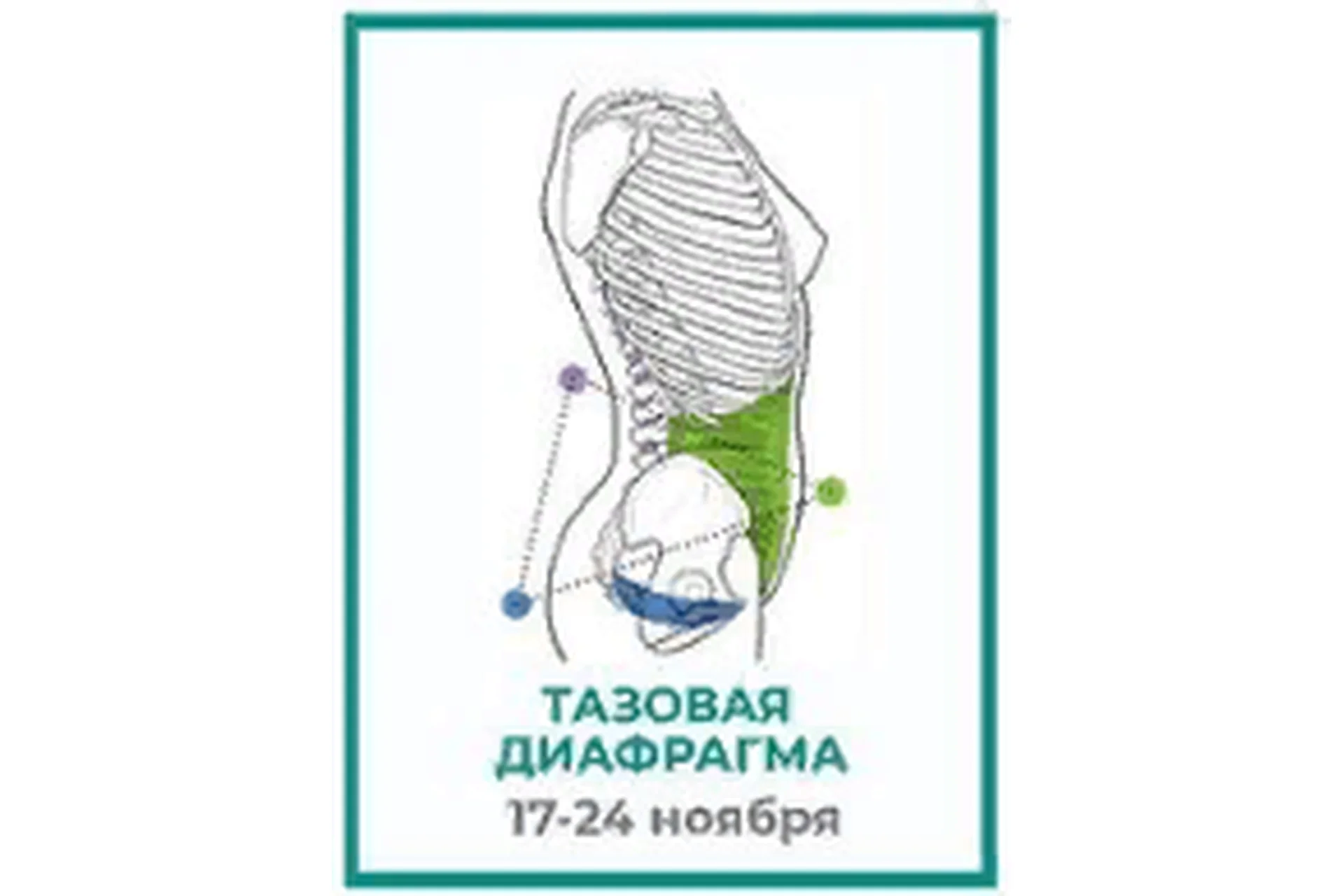 [move4s] Тазовая диафрагма  (Леля Савосина), фото 1 из 1.