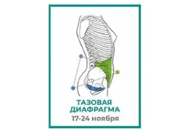 [move4s] Тазовая диафрагма  (Леля Савосина)
