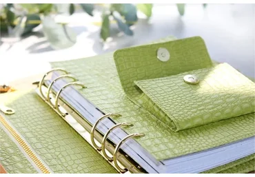 Планер из переплётного кожзама с пеналом на молнии и разделителем карманами (Александра Смоляженко)