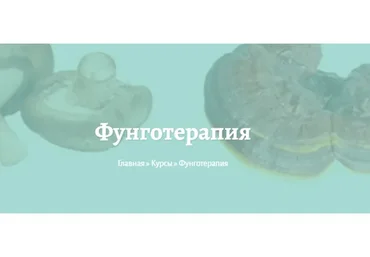 Фунготерапия (Елена Миргородская)