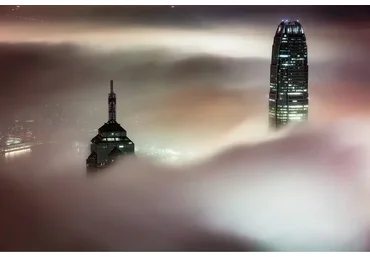 Сара Пейтон. Нейробиология и поле. Часть 1 (Елена Веселаго, Сара Пейтон)