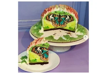 Мастер класс в технике cakeinside «Бабочки и весна» (Евгения Кизленко)