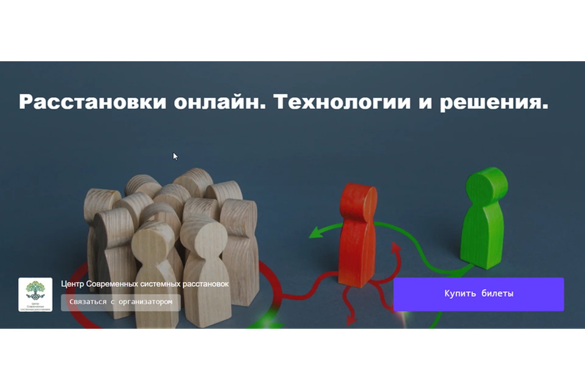 Расстановки онлайн. Технологии и решения (Елена Веселаго), фото 1 из 1.