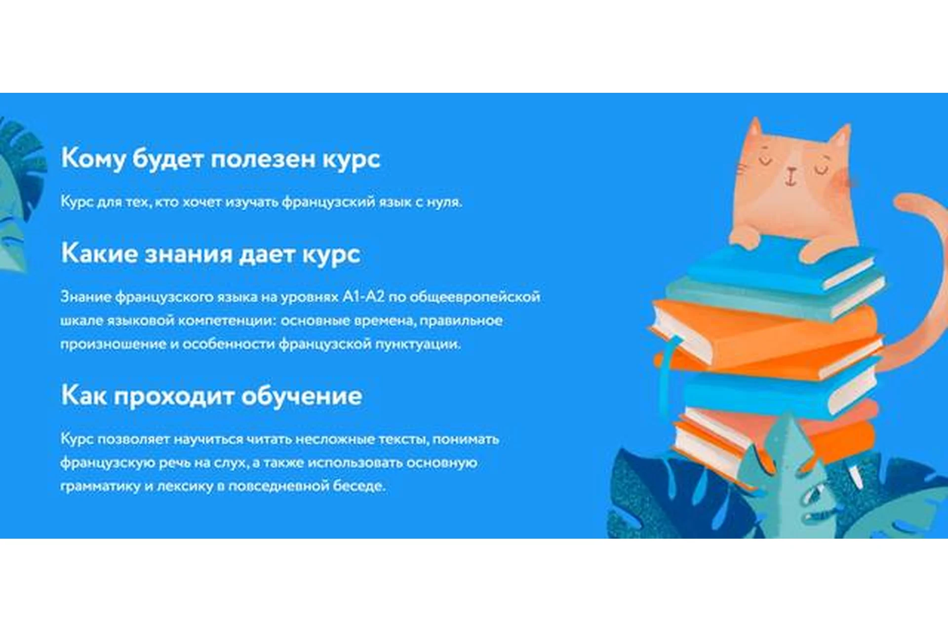 [Фоксфорд] Курс французского языка для начинающих (Маргарита Жендарина), фото 1 из 1.