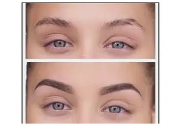 Художественное оформление бровей. 2016 (Наталья Шик)