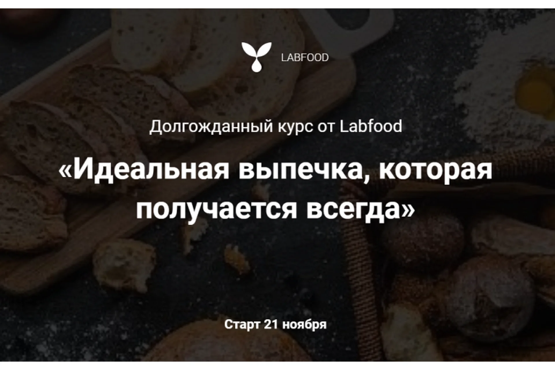 [Labfood] Идеальная выпечка, которая получается всегда (Яна Нетреба), фото 1 из 1.