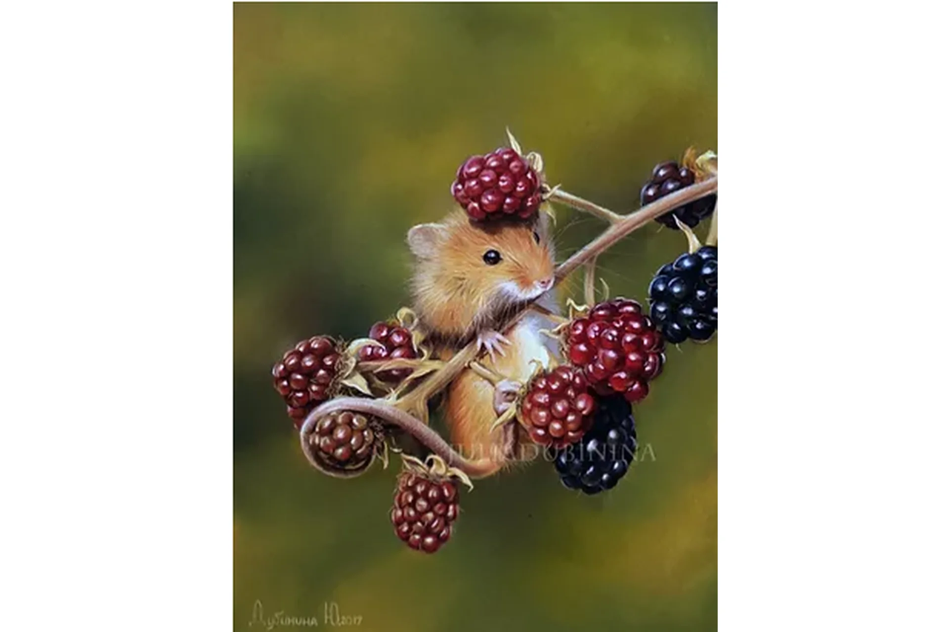 Мышка с ежевикой (Юлия Дубинина), фото 1 из 1.