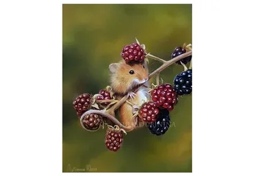 Мышка с ежевикой (Юлия Дубинина)