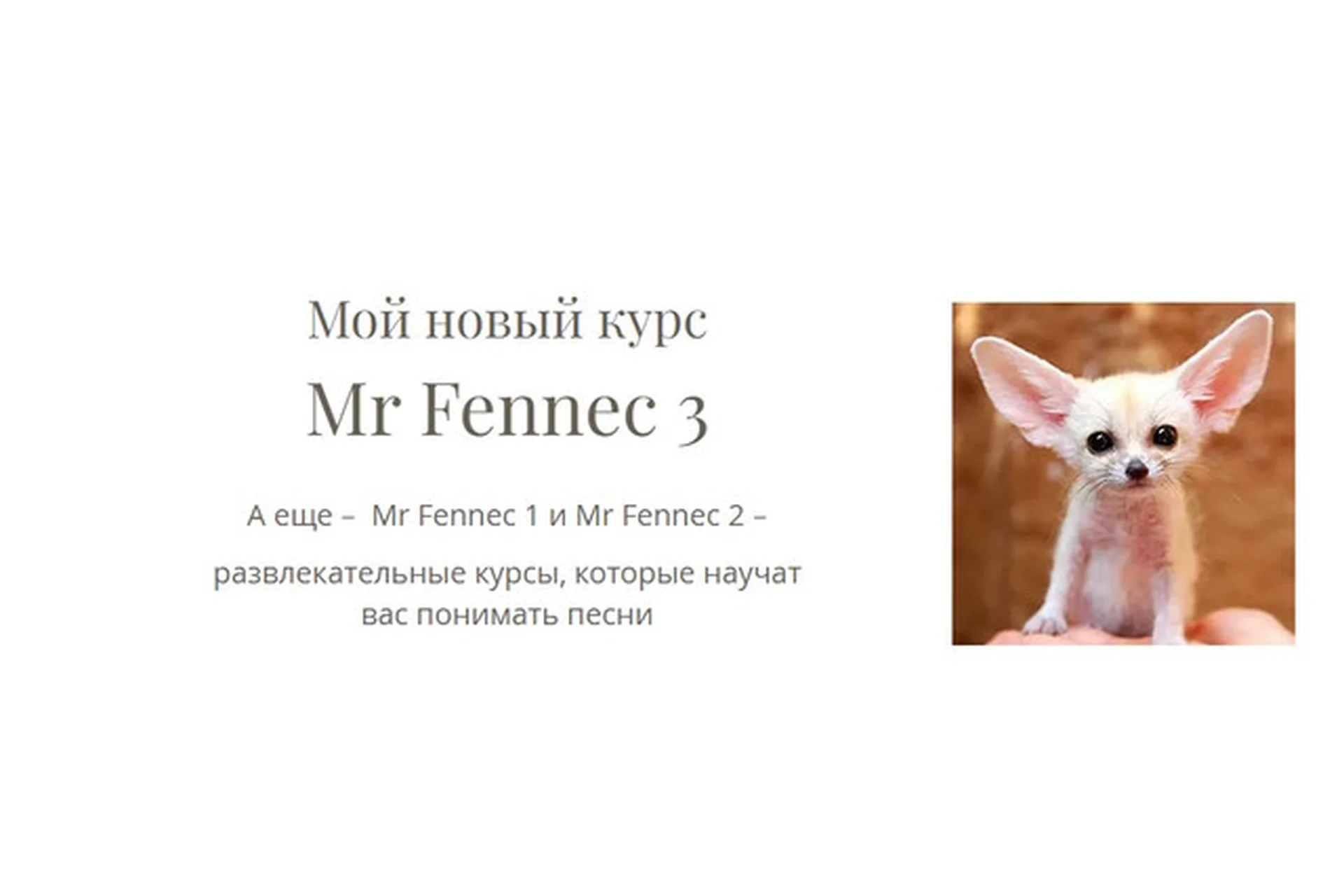 Mr Fennec 3 (Антон Брежестовский), фото 1 из 1.