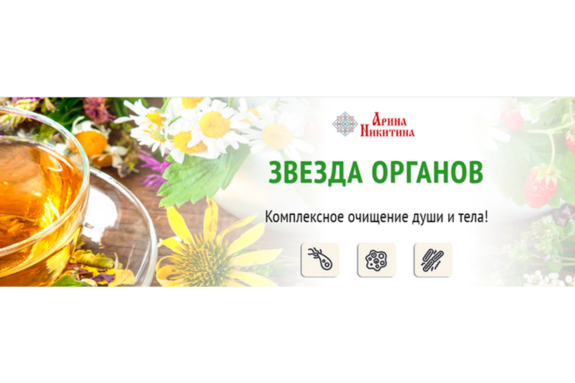 Звезда органов (Арина Никитина), фото 1 из 1.