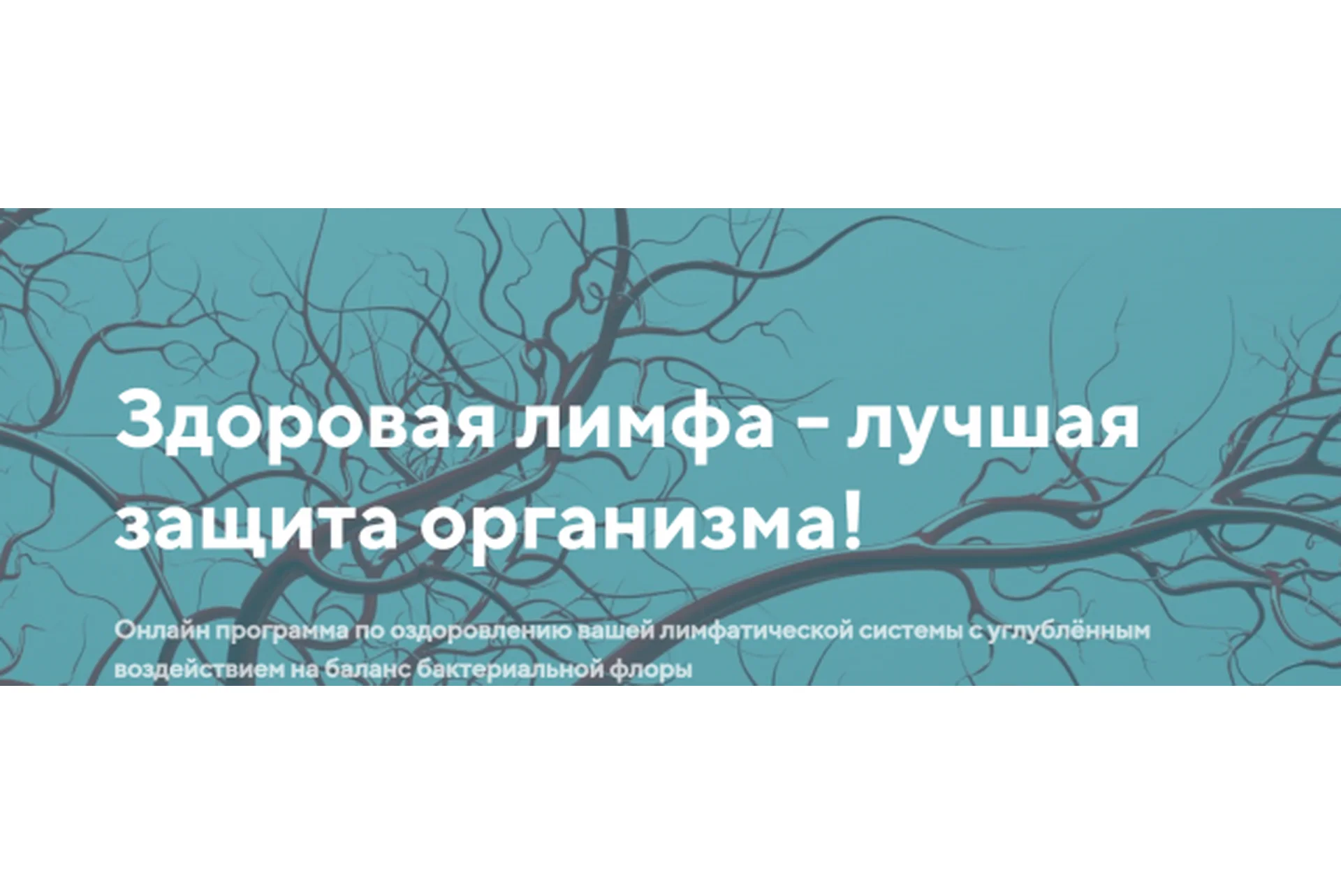 Здоровая лимфа - лучшая защита организма. Тариф Информативный (Светлана Калмыкова), фото 1 из 1.