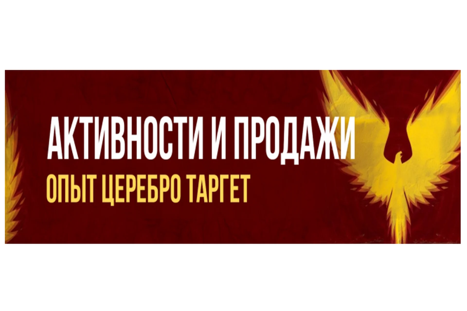 [Церебро Таргет] Активности и продажи, 2019 (Феликс Зинатуллин), фото 1 из 1.