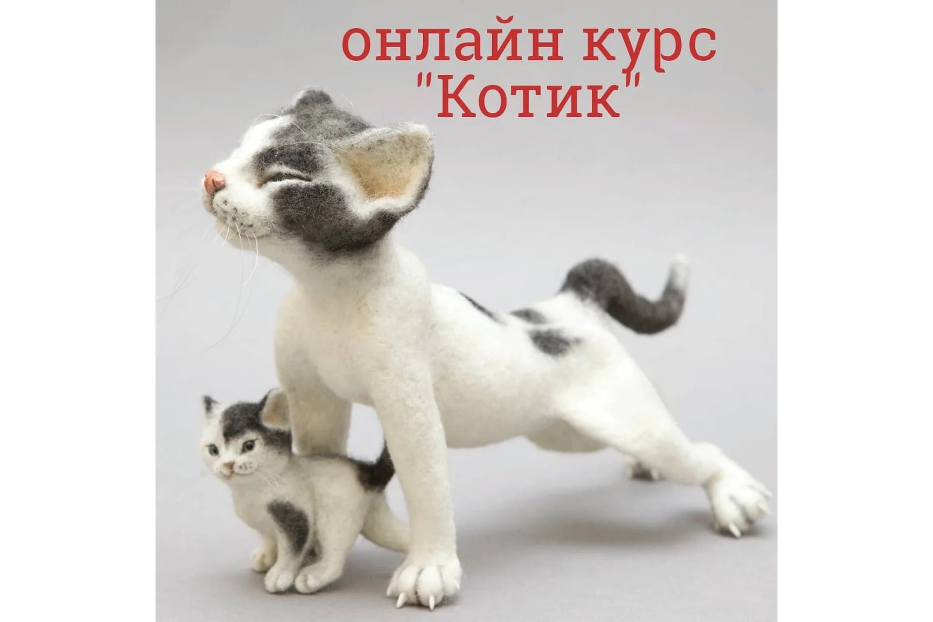 Котик (Наталья Евдокимова), фото 1 из 1.