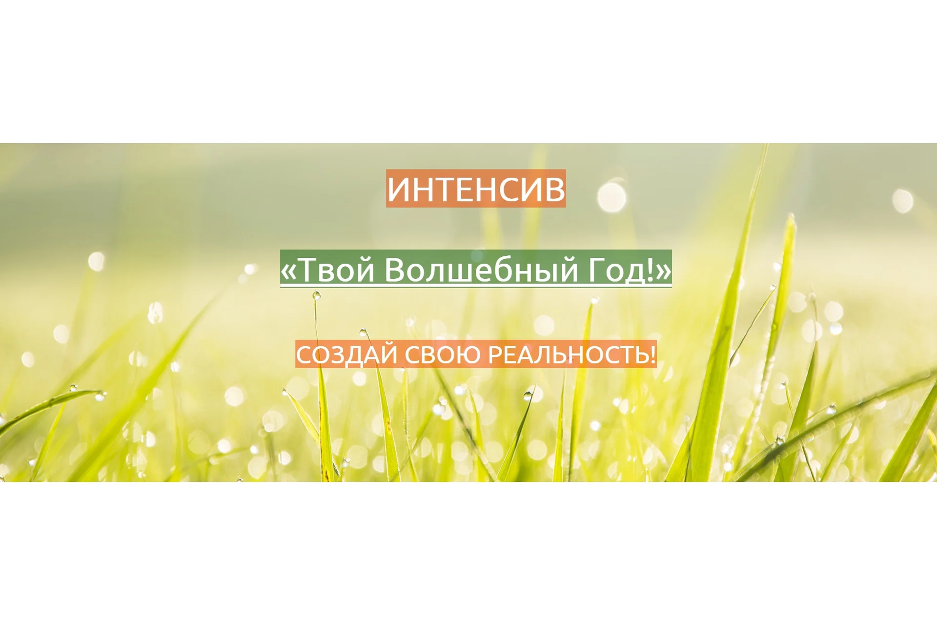 Твой волшебный год. Создай свою реальность (Елeна Мирнaя), фото 1 из 1.