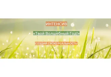 Твой волшебный год. Создай свою реальность (Елeна Мирнaя)