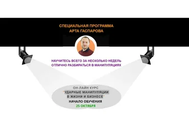 Ударные манипуляции в жизни и бизнесе. Тариф Vip (Арт Гаспаров)