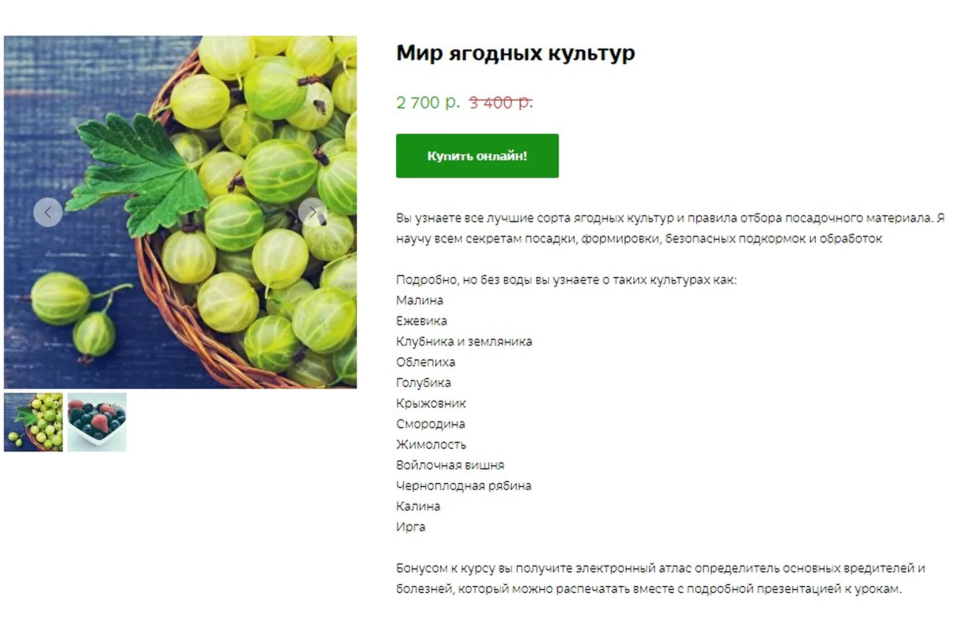 Мир ягодных культур (Кристианна Виниченко), фото 1 из 1.