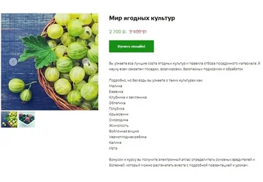 Мир ягодных культур (Кристианна Виниченко)