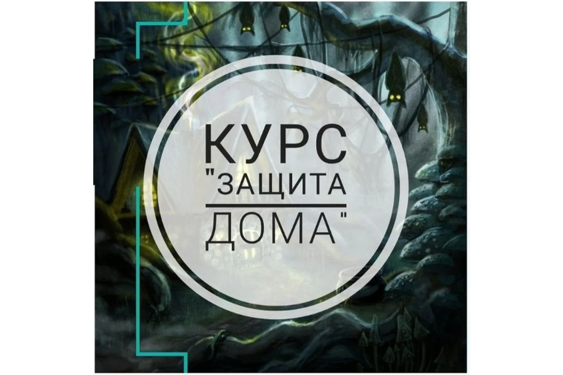 Защита дома (prosto_feiya), фото 1 из 1.