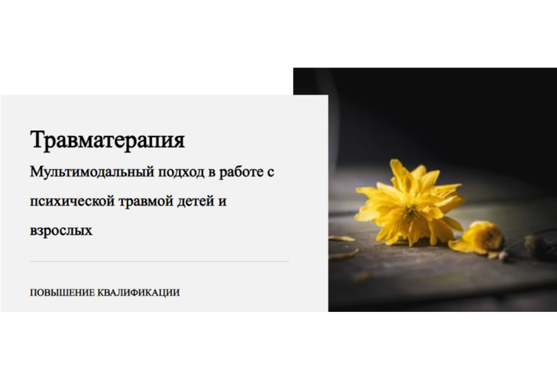 Травматерапия. 6 модуль. Травмы развития (Виктория Унтерова), фото 1 из 1.