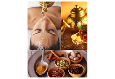 Практическая Аюрведа на каждый день (Татьяна Патрацкая)