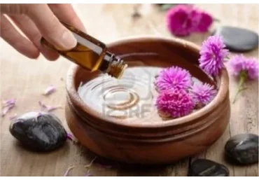 Эфирные масла-щиты (Татьяна Шаповалова)