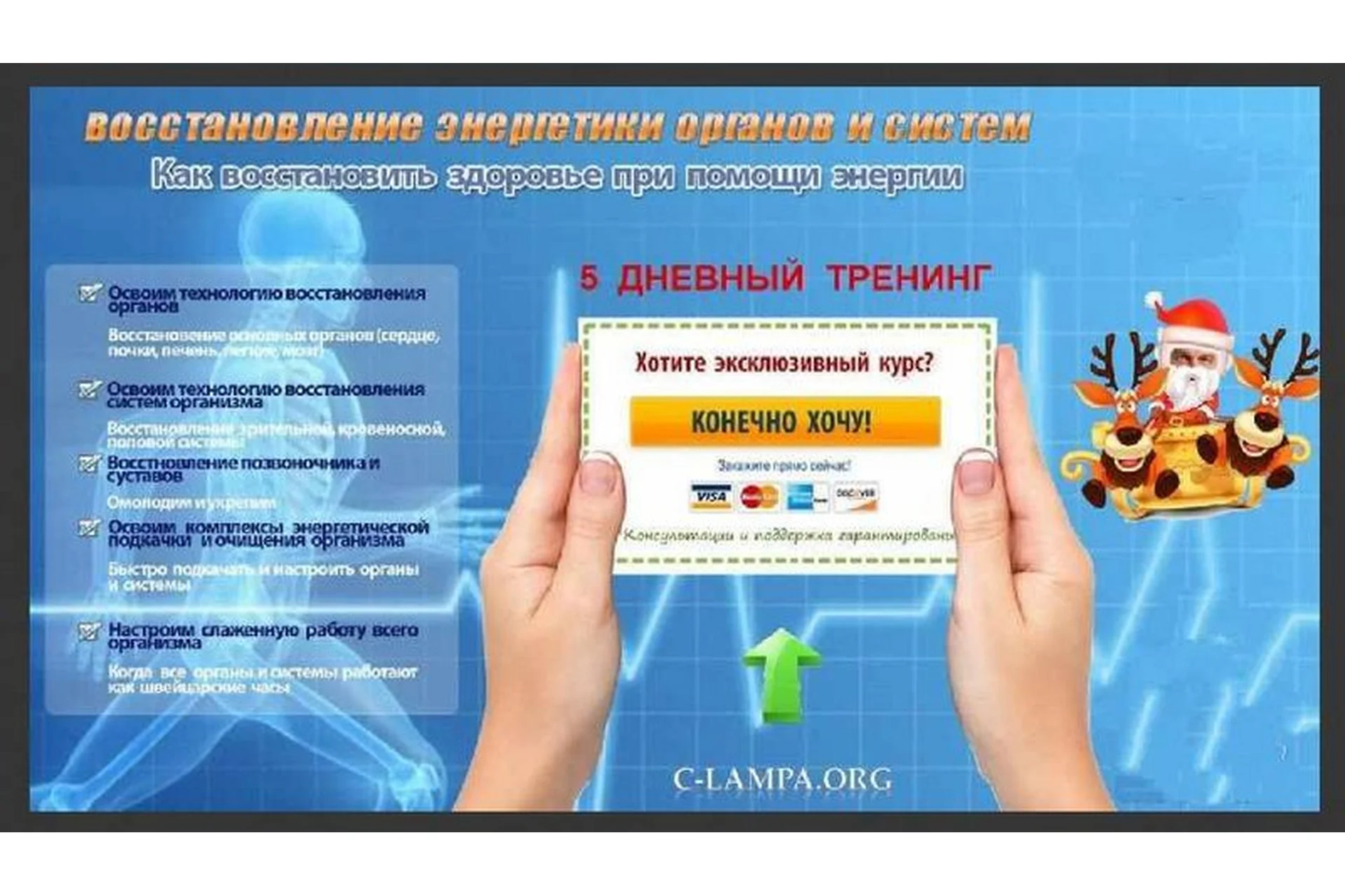 Восстановление энергетики органов и систем, 2014 (Руслан Янгаев), фото 1 из 1.