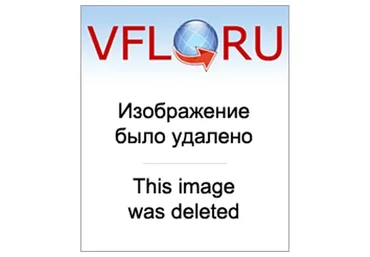 Формула Души (Елена Ушкова)