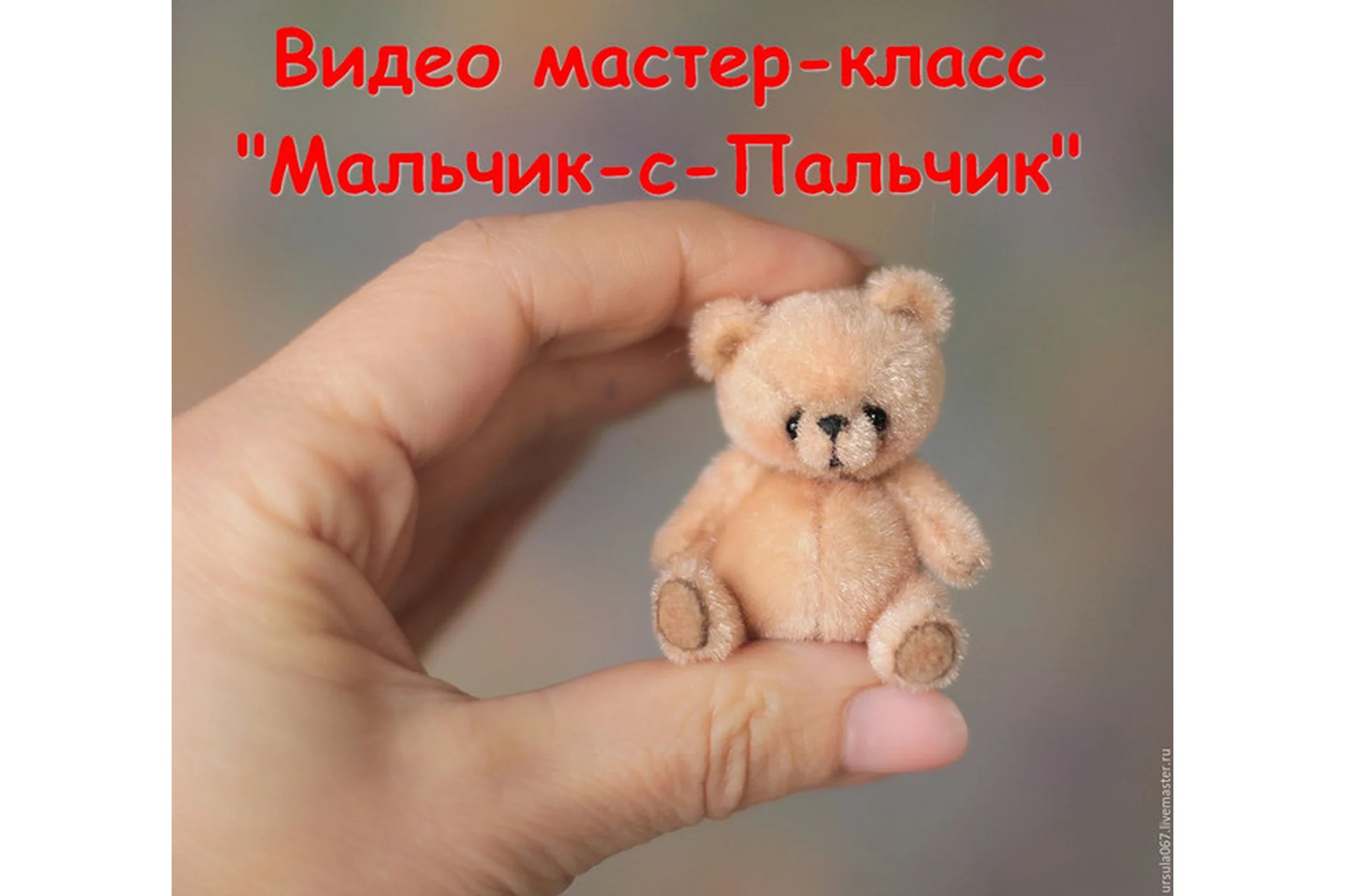 Мальчик-с-Пальчик (Светлана Гуменникова), фото 1 из 1.