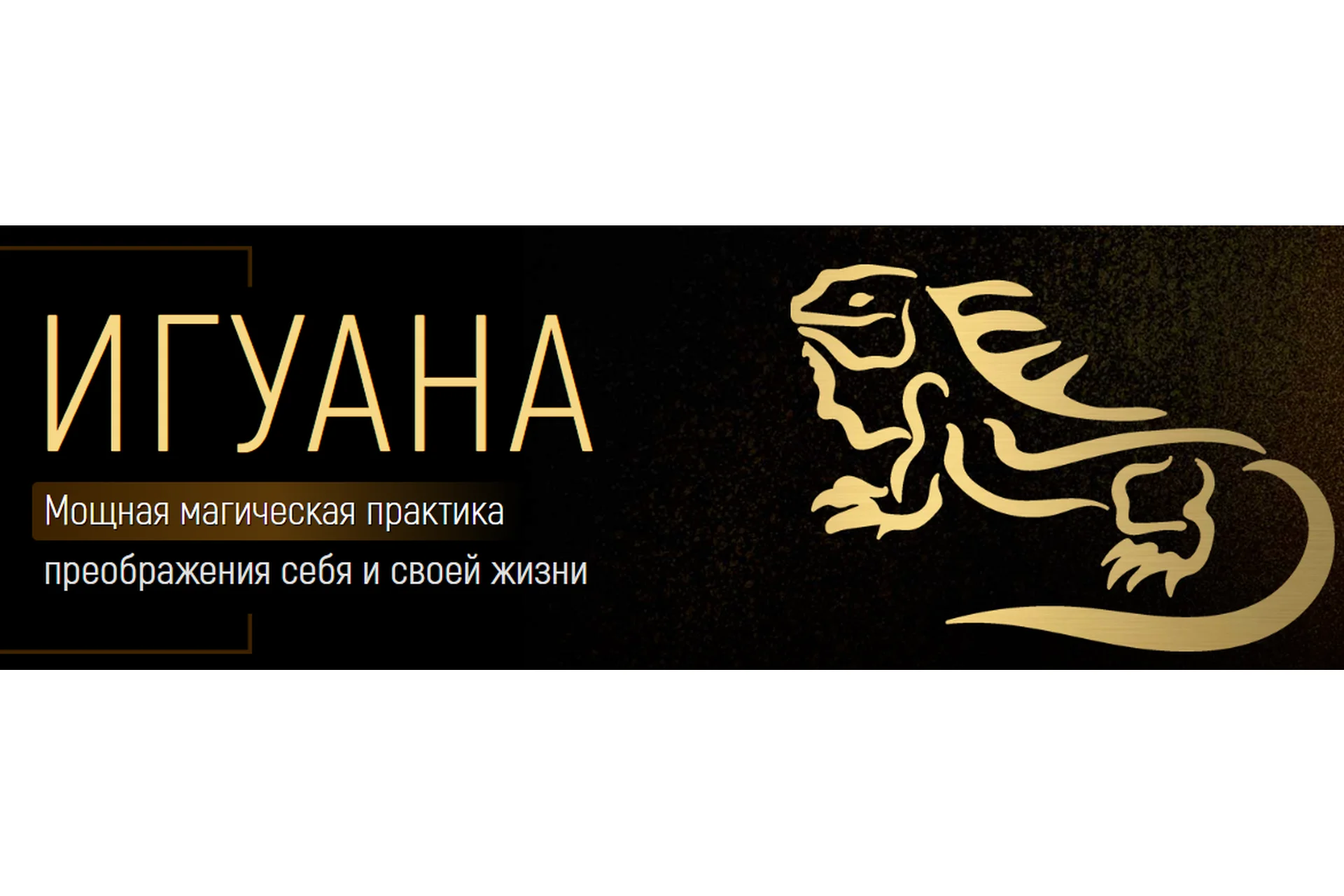 Игуана: мощная магическая практика преображения себя и своей жизни 2023 (Марта Николаева-Гарина), фото 1 из 1.