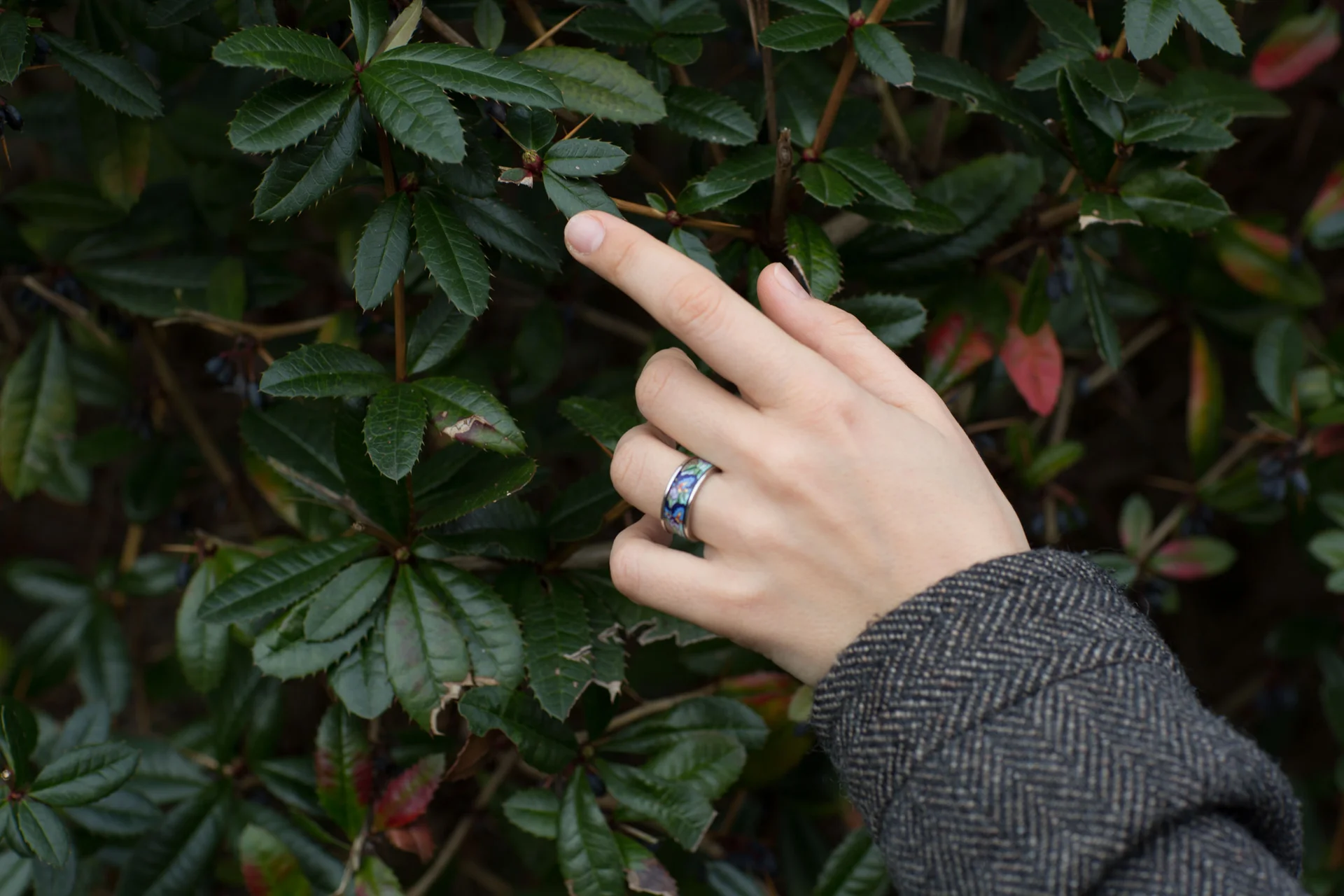 [Really Nice Images] Коллекция пленочных пресетов RNI All Films 4, Lightroom, фото 1 из 1.