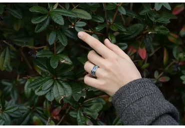 [Really Nice Images] Коллекция пленочных пресетов RNI All Films 4, Lightroom