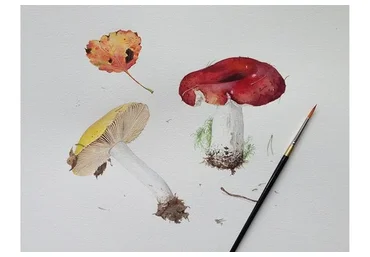 Акварельная ботаническая живопись (Александр Вязьменский)