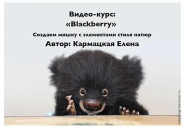 Blackberry (Елена Кармацкая)
