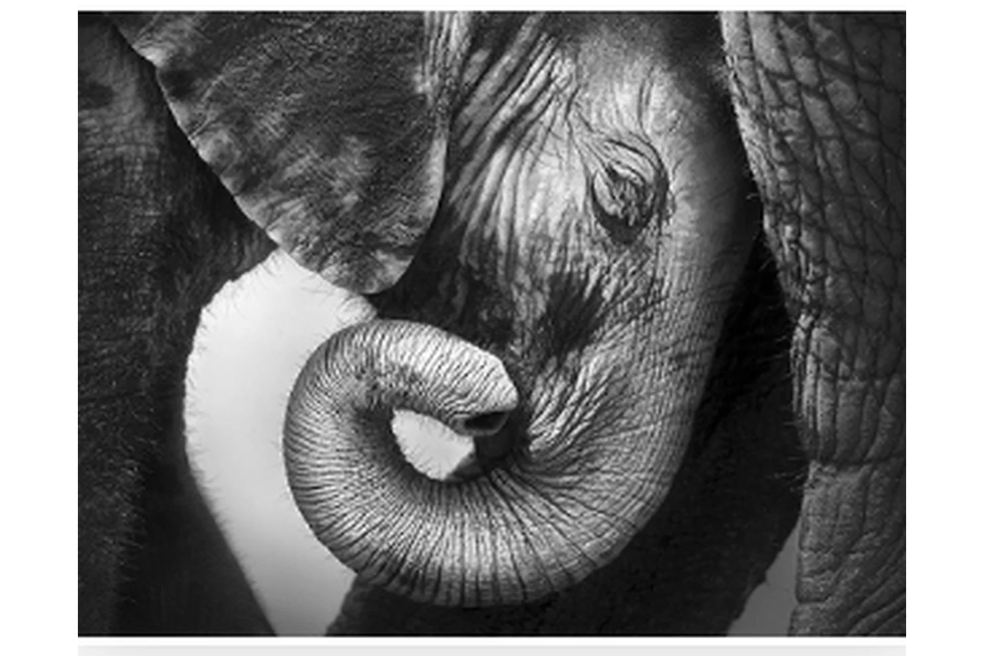 [Высшая школа психологии] Интегральный подход психологической работы с травмой развития. Раздел 2, фото 1 из 1.