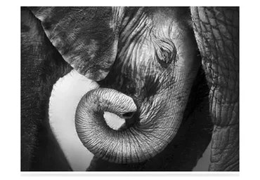 [Высшая школа психологии] Интегральный подход психологической работы с травмой развития. Раздел 2