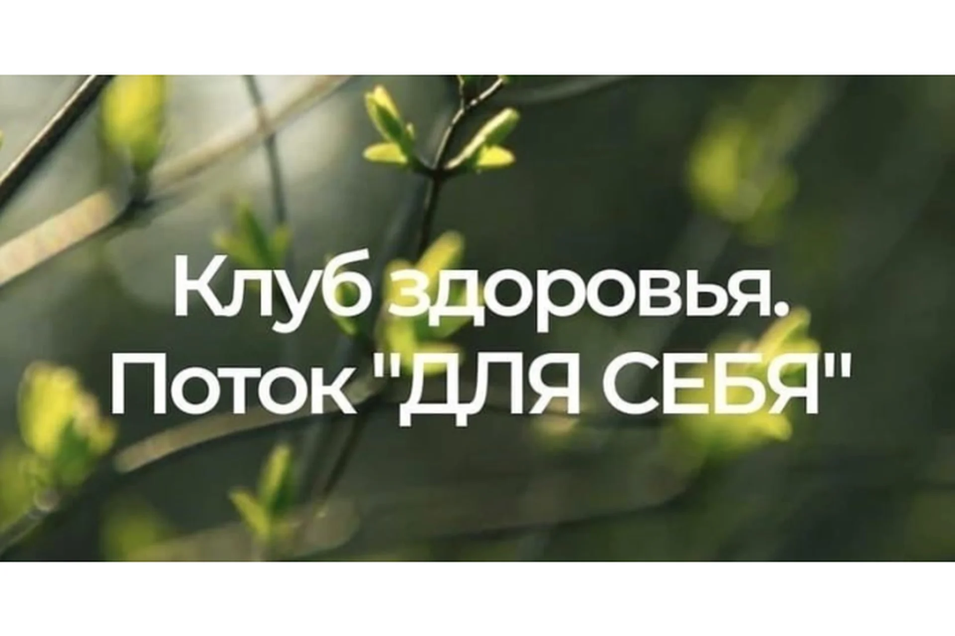 Клуб здоровья для себя. 2-ой месяц. Тариф Для себя (Анастасия Семко), фото 1 из 1.