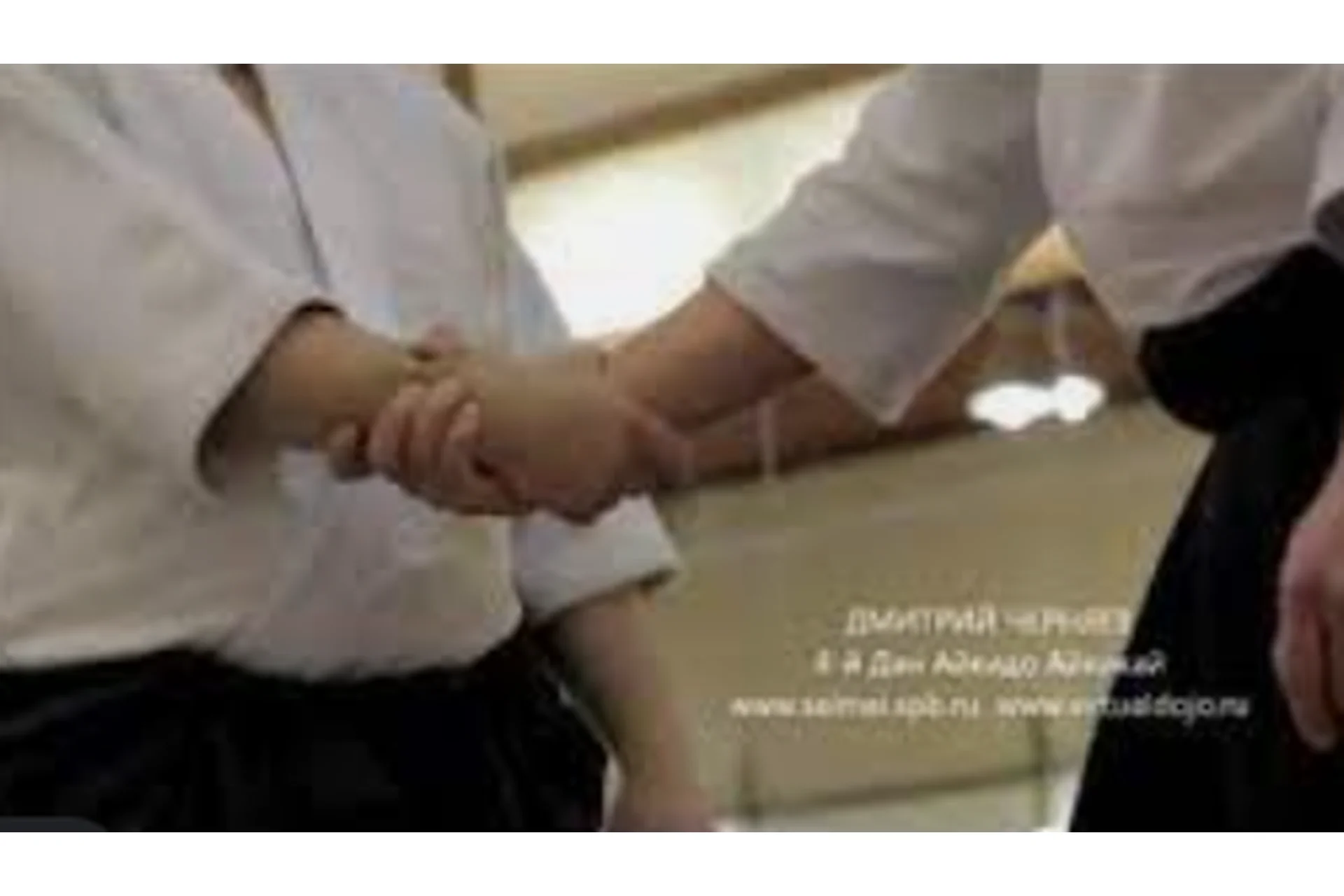 Шахматное Айкидо (Дмитрий Шпортенко), фото 1 из 1.