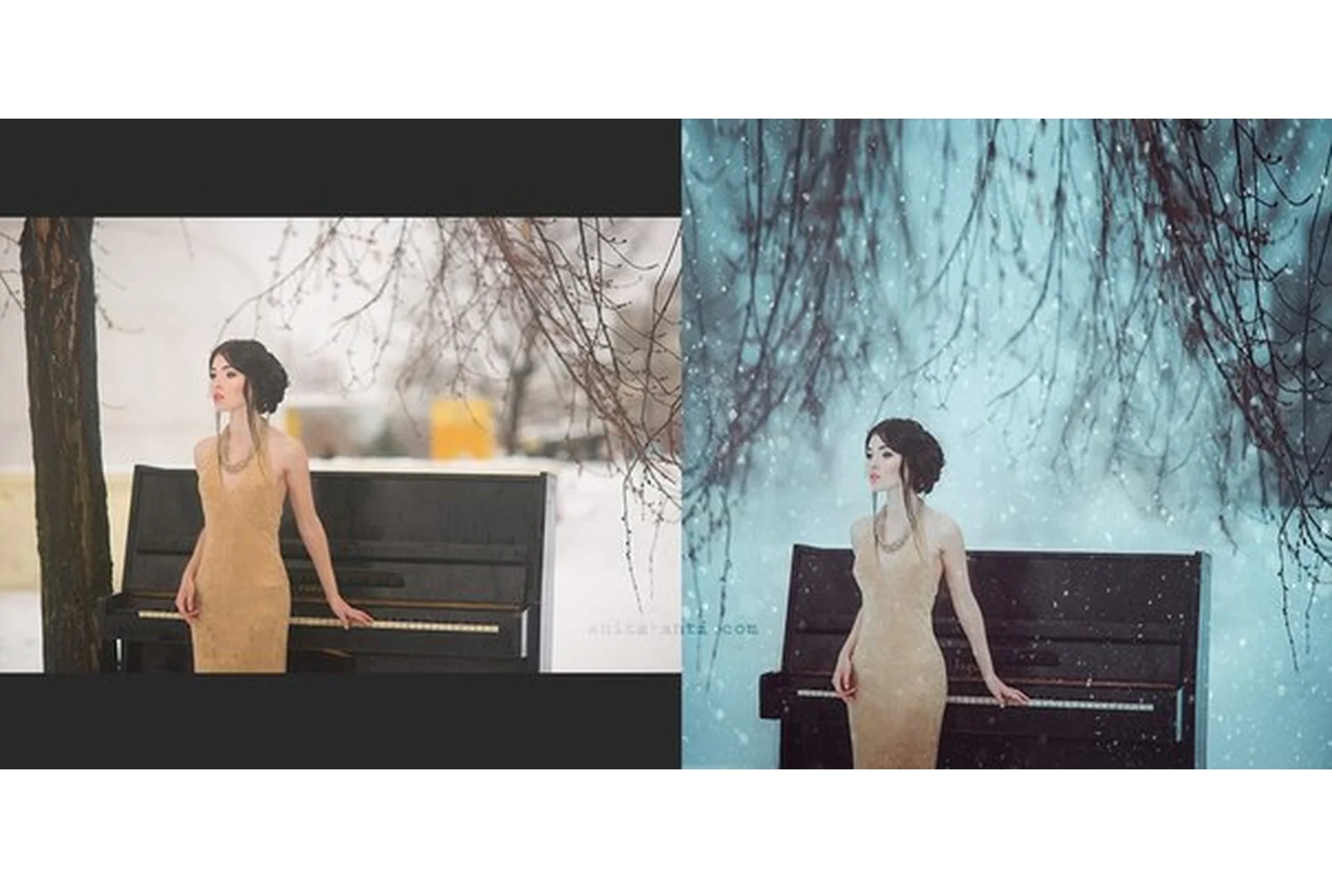 Секреты творческой фотографии (Анна Стоян), фото 1 из 1.