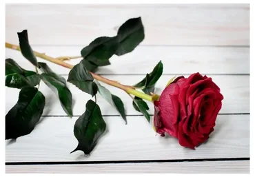 Мастерский курс «Цветы из полимерной глины» 14 мастер-классов (Марина Головина)